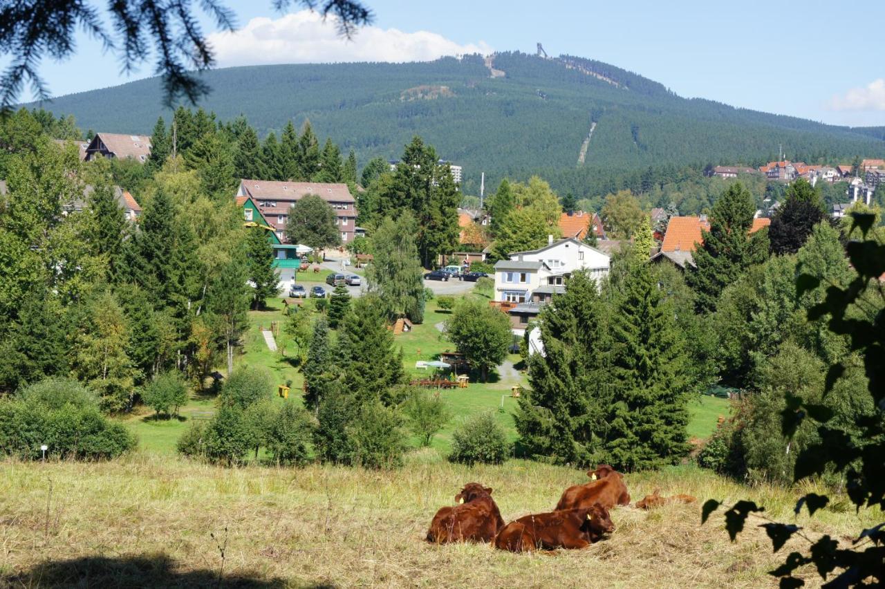 Villa Am Paulsberg Braunlage Exteriér fotografie